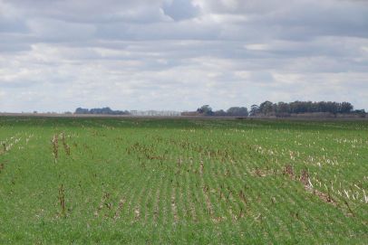 En el Partido de General Villegas, Provincia de Buenos Aires.